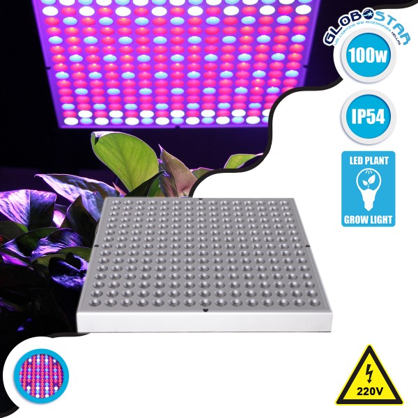 GloboStar® 85954 Grow Light Panel Full Spectrum LED Φωτιστικό Ανάπτυξης Φυτών Θερμοκηπίου SMD 2835 100W 160° AC230V IP54 Εσωτερικού Χώρου για Κάλυψη Επιφάνειας 1m x 1m Πλήρους Φάσματος Φωτισμού