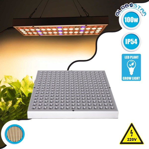 GloboStar® 85955 Grow Light Panel Hydro Spectrum LED Φωτιστικό Ανάπτυξης Φυτών Υδροπονικού Θερμοκηπίου SMD 2835 100W 160° AC230V IP54 Εσωτερικού Χώρου για Κάλυψη Επιφάνειας 1m x 1m