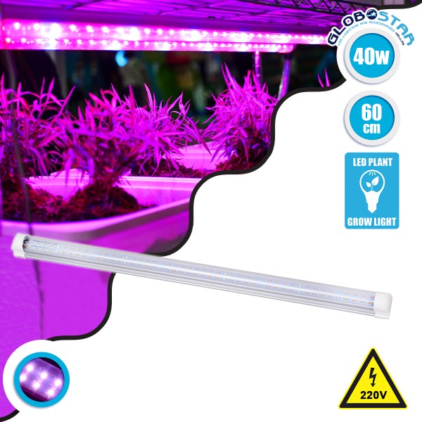 GloboStar® 85961 Linear Grow Light Full Spectrum LED Γραμμικό Φωτιστικό Ανάπτυξης Φυτών Θερμοκηπίου 60cm SMD 2835 40W 160° AC230V IP54 Εσωτερικού Χώρου για Κάλυψη Επιφάνειας 0.6m x 0.6m Πλήρους Φάσματος Φωτισμού