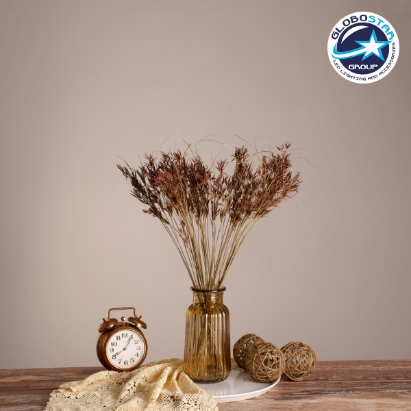 GloboStar® CYPERUS 36500 Αποξηραμένο Φυτό Κύπειρος - Μπουκέτο Διακοσμητικών Κλαδιών Μπεζ - Καφέ Υ60cm