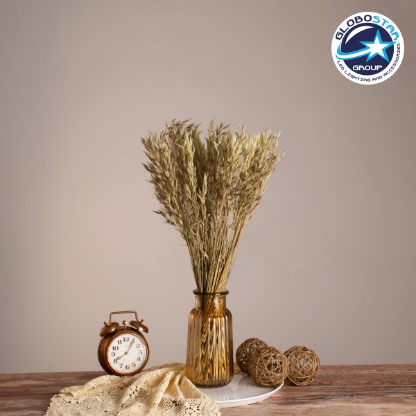 GloboStar® WILDOAT 36501 Αποξηραμένο Φυτό Αγριοβρώμη - Μπουκέτο Διακοσμητικών Κλαδιών Μπεζ - Πράσινο Υ60cm