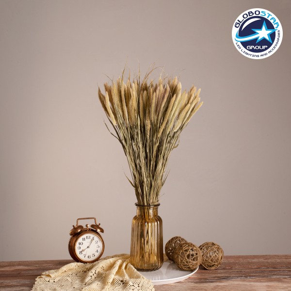 GloboStar® PENNISETUM 36503 Αποξηραμένο Φυτό Πεννήσιο - Μπουκέτο Διακοσμητικών Κλαδιών Μπεζ - Πράσινο Υ60cm