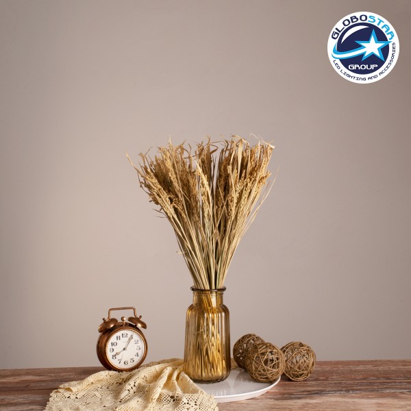 GloboStar® RISEGRASS 36505 Αποξηραμένο Φυτό Ρύζι - Μπουκέτο Διακοσμητικών Κλαδιών Μπεζ Υ60cm
