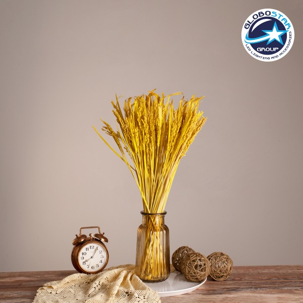 GloboStar® RISEGRASS 36506 Αποξηραμένο Φυτό Ρύζι - Μπουκέτο Διακοσμητικών Κλαδιών Μπεζ - Κίτρινο Υ60cm