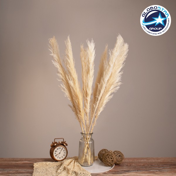 GloboStar® PAMPASGRASS 36507 Αποξηραμένο Φυτό Γρασίδι της Πάμπας - Μπουκέτο Διακοσμητικών Κλαδιών Μπεζ - Εκρού Υ80cm