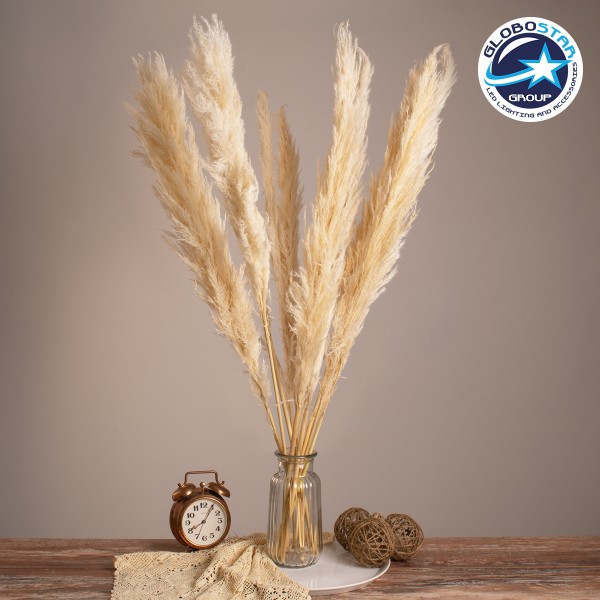 GloboStar® PAMPASGRASS 36508 Αποξηραμένο Φυτό Γρασίδι της Πάμπας - Μπουκέτο Διακοσμητικών Κλαδιών Μπεζ - Εκρού Υ100cm