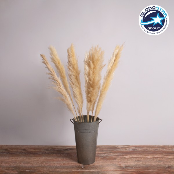 GloboStar® PAMPASGRASS 36509 Αποξηραμένο Φυτό Γρασίδι της Πάμπας - Μπουκέτο Διακοσμητικών Κλαδιών Μπεζ - Εκρού Υ120cm