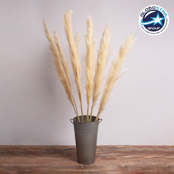 GloboStar® PAMPASGRASS 36510 Αποξηραμένο Φυτό Γρασίδι της Πάμπας - Μπουκέτο Διακοσμητικών Κλαδιών Μπεζ - Εκρού Υ150cm