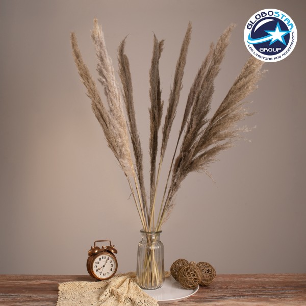 GloboStar® PAMPASGRASS 36512 Αποξηραμένο Φυτό Γρασίδι της Πάμπας - Μπουκέτο Διακοσμητικών Κλαδιών Καφέ - Γκρι Υ100cm