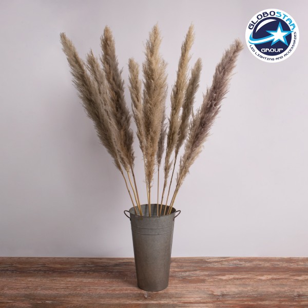 GloboStar® PAMPASGRASS 36514 Αποξηραμένο Φυτό Γρασίδι της Πάμπας - Μπουκέτο Διακοσμητικών Κλαδιών Καφέ - Γκρι Υ150cm