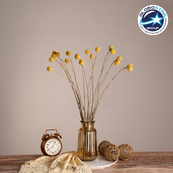 GloboStar® GRASPEDIA 36533 Αποξηραμένο Φυτό Κρασπέδια Φ3cm - Μπουκέτο Διακοσμητικών Κλαδιών Μπεζ - Κίτρινο Υ70cm