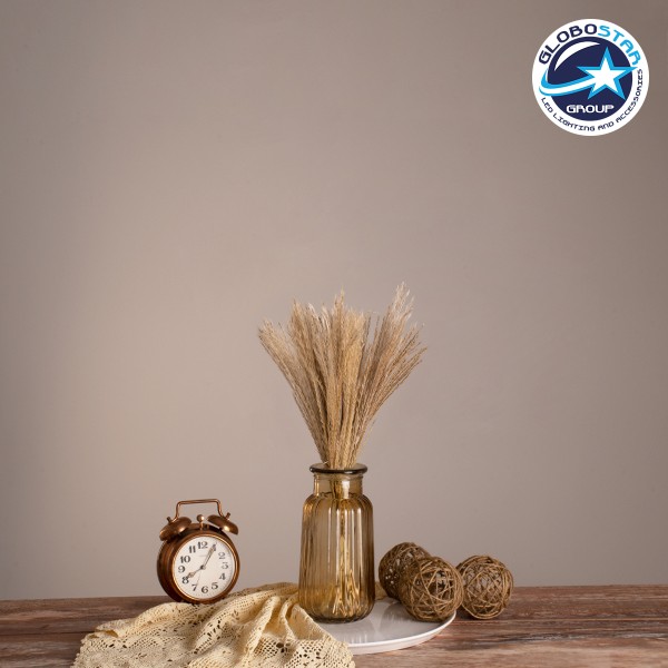 GLOBOSTAR® MISCANTHUS 36534 Αποξηραμένο Διακοσμητικό Μπουκέτο Μίσχανθος - Μπεζ - Μ20 x Π20 x Υ40cm - Πακέτο 10 Τεμαχίων