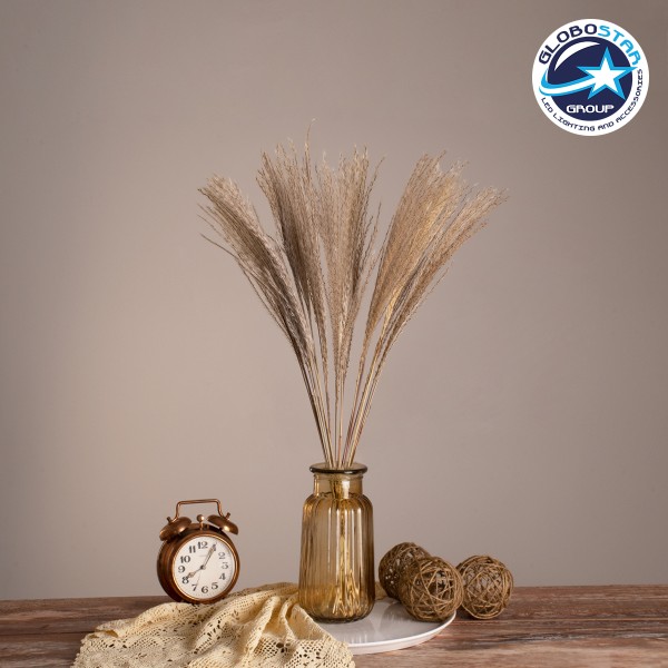GLOBOSTAR® MISCANTHUS 36535 Αποξηραμένο Διακοσμητικό Μπουκέτο Μίσχανθος - Μπεζ - Μ20 x Π20 x Υ60cm - Πακέτο 10 Τεμαχίων