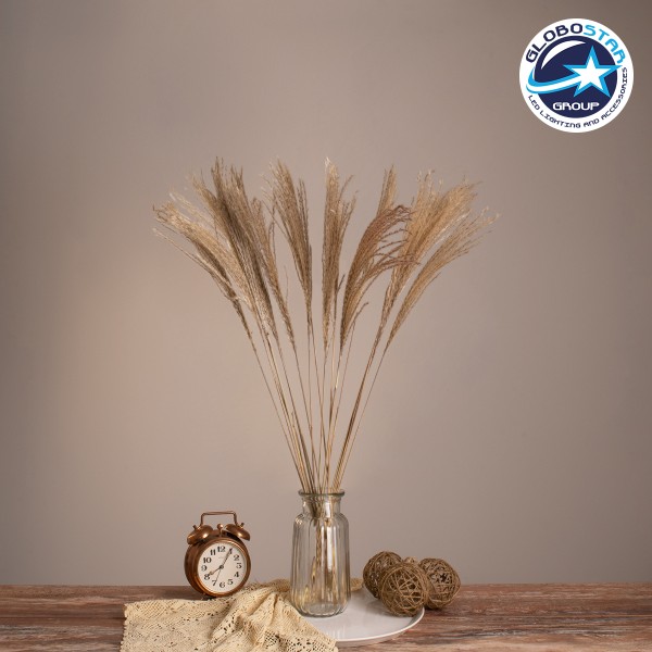GloboStar® MISCANTHUS 36536 Αποξηραμένο Φυτό Μίσχανθος - Μπουκέτο Διακοσμητικών Κλαδιών Μπεζ Υ80cm