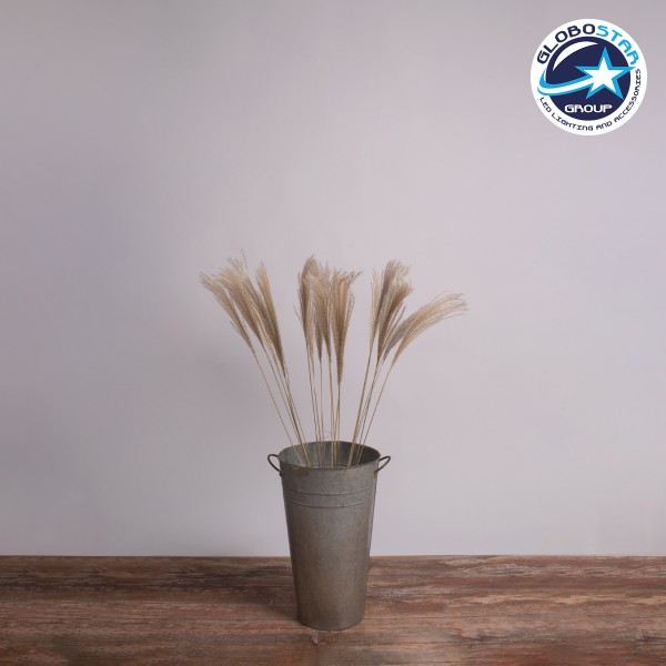 GloboStar® MISCANTHUS 36537 Αποξηραμένο Φυτό Μίσχανθος - Μπουκέτο Διακοσμητικών Κλαδιών Μπεζ Υ100cm