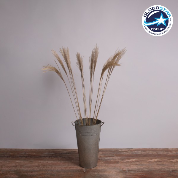 GloboStar® MISCANTHUS 36538 Αποξηραμένο Φυτό Μίσχανθος - Μπουκέτο Διακοσμητικών Κλαδιών Μπεζ Υ120cm