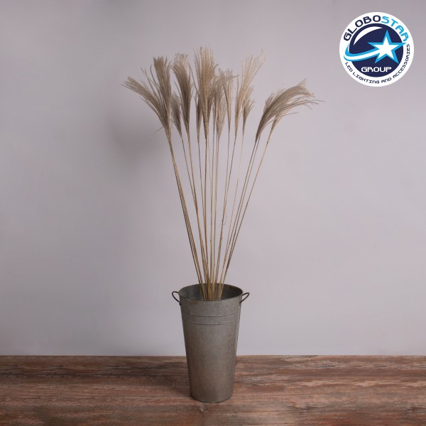 GloboStar® MISCANTHUS 36539 Αποξηραμένο Φυτό Μίσχανθος - Μπουκέτο Διακοσμητικών Κλαδιών Μπεζ Υ140cm