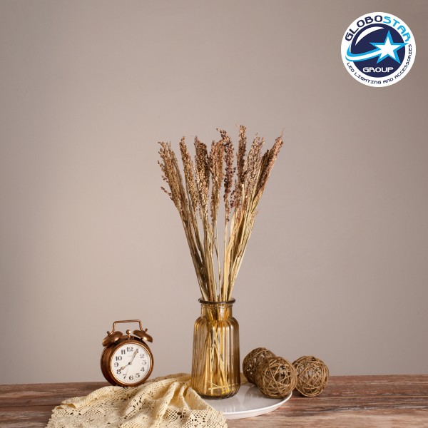 GloboStar® BROOMCORN 36540 Αποξηραμένο Φυτό Γλυκό Σόργο - Μπουκέτο Διακοσμητικών Κλαδιών Μπεζ - Καφέ Υ60cm