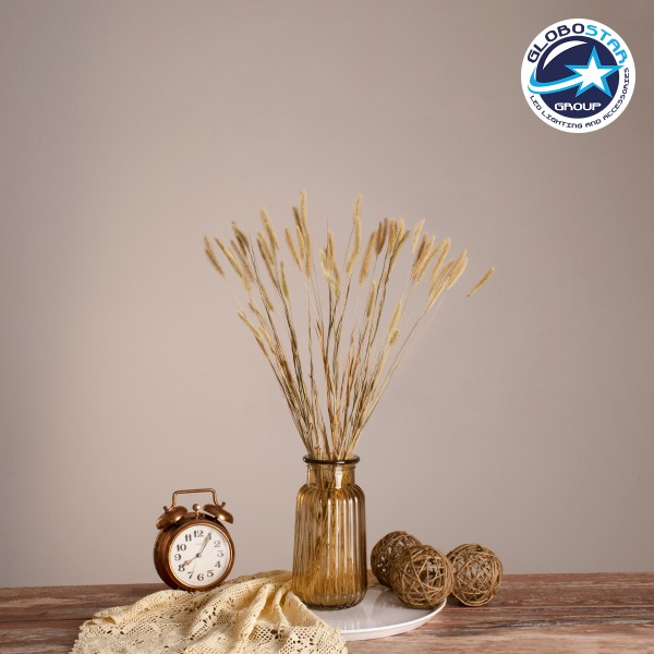 GloboStar® FOUNTAINGRASS 36542 Αποξηραμένο Φυτό Πεννίζετο - Μπουκέτο Διακοσμητικών Κλαδιών Μπεζ - Πράσινο Υ60cm