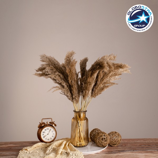 GloboStar® PAMPASGRASS 36544 Αποξηραμένο Φυτό Γρασίδι της Πάμπας - Μπουκέτο Διακοσμητικών Κλαδιών Μπεζ - Καφέ Υ60cm