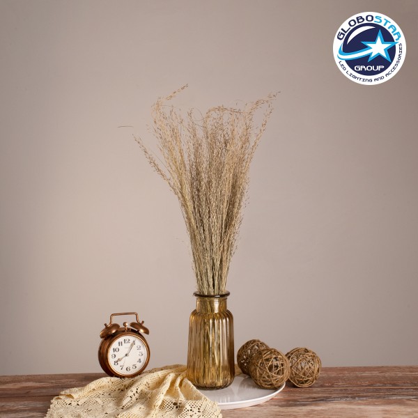 GloboStar® SILVERHAIRGRASS 36545 Αποξηραμένο Φυτό Ασημένια Χλόη - Μπουκέτο Διακοσμητικών Κλαδιών Μπεζ Υ60cm