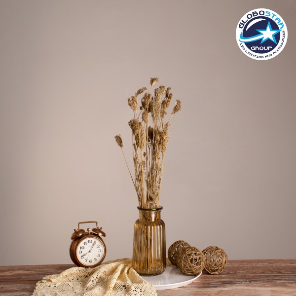 GloboStar® WILDCARROT 36546 Αποξηραμένο Φυτό Άγριο Καρότο - Μπουκέτο Διακοσμητικών Κλαδιών Μπεζ Υ60cm