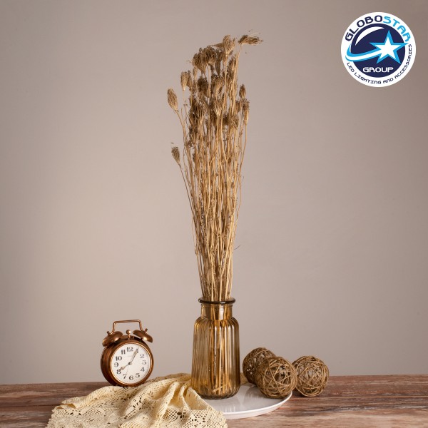 GloboStar® WILDCARROT 36547 Αποξηραμένο Φυτό Άγριο Καρότο - Μπουκέτο Διακοσμητικών Κλαδιών Μπεζ Υ80cm