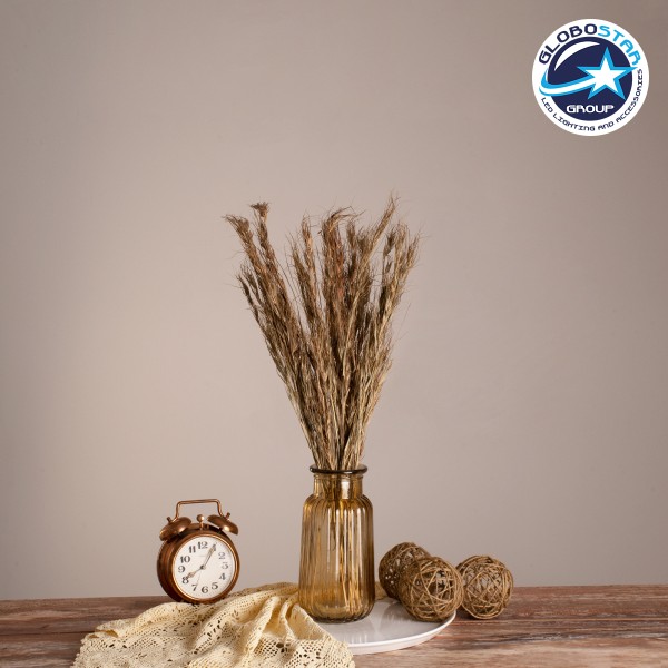 GloboStar® COLATAI 36549 Αποξηραμένο Φυτό Εράγρωστις - Μπουκέτο Διακοσμητικών Κλαδιών Μπεζ - Καφέ Υ60cm