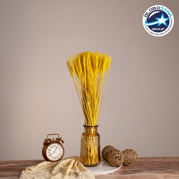 GloboStar® BARLEY 36552 Αποξηραμένο Φυτό Κριθάρι - Μπουκέτο Διακοσμητικών Κλαδιών Μπεζ - Κίτρινο Υ60cm