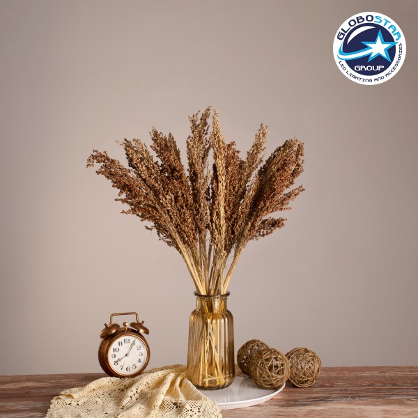 GloboStar® BROOMCORN 36553 Αποξηραμένο Φυτό Γλυκό Σόργο - Μπουκέτο Διακοσμητικών Κλαδιών Καφέ Υ60cm