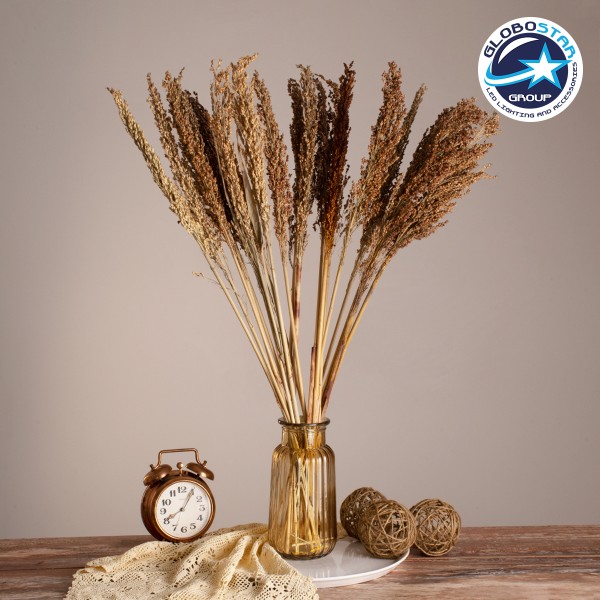 GloboStar® BROOMCORN 36554 Αποξηραμένο Φυτό Γλυκό Σόργο - Μπουκέτο Διακοσμητικών Κλαδιών Καφέ Υ80cm