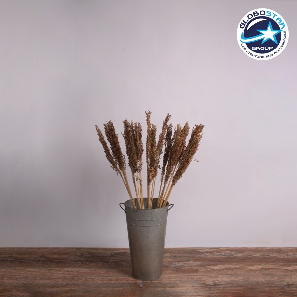 GloboStar® BROOMCORN 36555 Αποξηραμένο Φυτό Γλυκό Σόργο - Μπουκέτο Διακοσμητικών Κλαδιών Καφέ Υ100cm