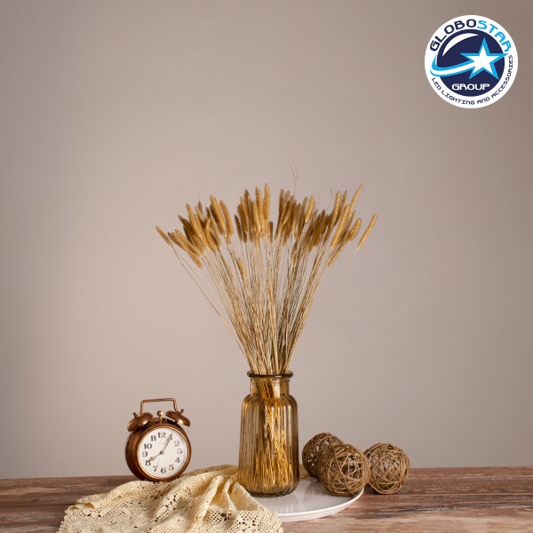 GloboStar® SETARIA 36557 Αποξηραμένο Φυτό Σεταρία - Μπουκέτο Διακοσμητικών Κλαδιών Μπεζ Υ60cm