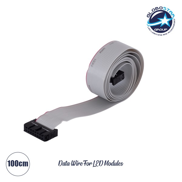 GloboStar® DATULCO 90241 Καλωδιοταινία 1m Data Cable HUB75 Μεταφοράς Σήματος/Εικόνας για Ψηφιακές Οθόνες LED Video Wall Μ100 x Π2.5 x Υ1.5cm - 2 Years Warranty