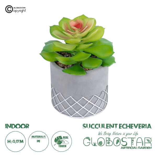 GloboStar® Artificial Garden SUCCULENT SEDEVERIA 21095 Διακοσμητικό Φυτό Παχύφυτο Σεντεβέρια Υ17cm