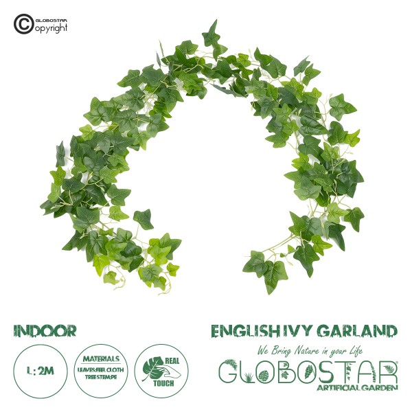 21146 SET OF 2 PIECES