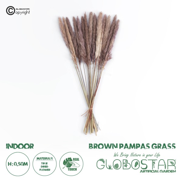 GloboStar® Artificial Garden REAL DRIED BROWN PAMPAS GRASS BUNCH 21215 Αποξηραμένο Διακοσμητικό Μπουκέτο Pampas Kάφε Y50cm