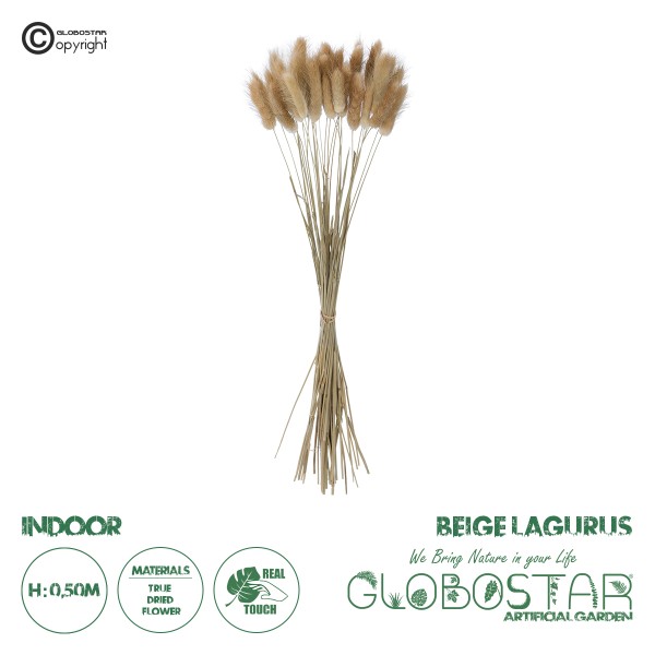GloboStar® Artificial Garden REAL DRIED BEIGE WHEAT BUNCH  21219 Αποξηραμένο Διακοσμητικό Μπουκέτο Σιταριού Y50cm