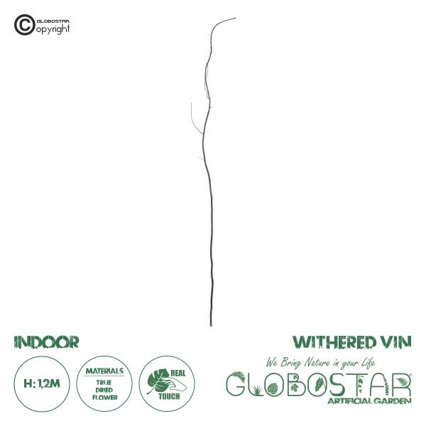 GloboStar® Artificial Garden REAL DRIED WITHERED VINE STEM 21220 Τεχνητό Διακοσμητικό Κλαδί Αμπελιού Y120cm