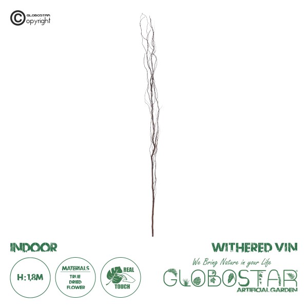 GloboStar® Artificial Garden REAL DRIED WITHERED VINE STEM 21221 Τεχνητό Διακοσμητικό Κλαδί Αμπελιού Y180cm