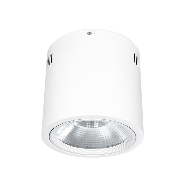 GloboStar® 999-0001 Φωτιστικό Σποτ Οροφής Downlight 30W 3000lm 24° AC 220-240V IP20 Ψυχρό Λευκό 6000K