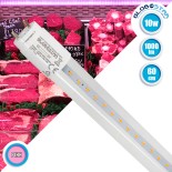 GloboStar® 99331 Λάμπα Σωλήνας Τύπου Φθορίου T8 Linear 60cm LED SMD 2835 10W 1000 lm 320° AC 85-265V IP20 CRI ≥90 Ροζ Ειδική για Κρεοπωλείο