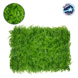 GloboStar® 78419 Artificial - Συνθετικό Τεχνητό Διακοσμητικό Πάνελ Φυλλωσιάς - Κάθετος Κήπος Καυκάσιο Πυξάρι - Φτέρη - Λυσιμαχία Πράσινο Μ60 x Υ40 x Π9cm