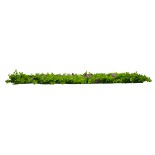GloboStar® 78421 Artificial - Συνθετικό Τεχνητό Διακοσμητικό Πάνελ Φυλλωσιάς - Κάθετος Κήπος Καυκάσιο Πυξάρι - Απτένια Πράσινο Μ60 x Υ40 x Π8cm