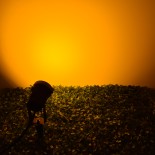 GLOBOSTAR® TREELIGHT-COBO 75584 Σποτ Φωτισμού για Φυτά - Δέντρα LED 10W 1000lm 35° DC 12-24V Αδιάβροχο IP65 Ultra Θερμό Λευκό 2200K Dimmable - Μαύρο - Μ6 x Π6 x Υ12.5cm - 3 Χρόνια Εγγύηση