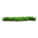 GloboStar® 78411 Artificial - Συνθετικό Τεχνητό Διακοσμητικό Πάνελ Φυλλωσιάς - Κάθετος Κήπος Τριφύλλι - Νάνος Φτέρη Πράσινο Μ60 x Υ40 x Π8cm