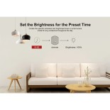 GloboStar® 80013 SONOFF D1-R2 - Wi-Fi Smart Switch Dimmer