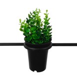 GloboStar® FLOWERPOT 10001209 Μοντέρνο Κρεμαστό Φωτιστικό Γεωμετρικό Σχήμα Μονόφωτο 1 x E27 IP20 Μαύρο Μέταλλο με Πράσινο Πλαστικό - Μ34 x Π34 x Y34cm