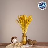 GloboStar® RISEGRASS 36506 Αποξηραμένο Φυτό Ρύζι - Μπουκέτο Διακοσμητικών Κλαδιών Μπεζ - Κίτρινο Υ60cm