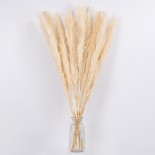 GloboStar® PAMPASGRASS 36508 Αποξηραμένο Φυτό Γρασίδι της Πάμπας - Μπουκέτο Διακοσμητικών Κλαδιών Μπεζ - Εκρού Υ100cm